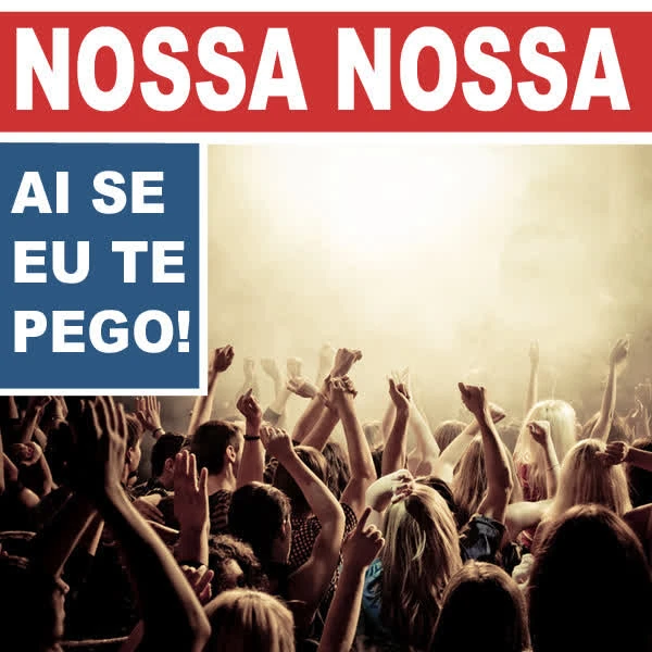 Nossa Nossa (Ai Se Eu Te Pego)