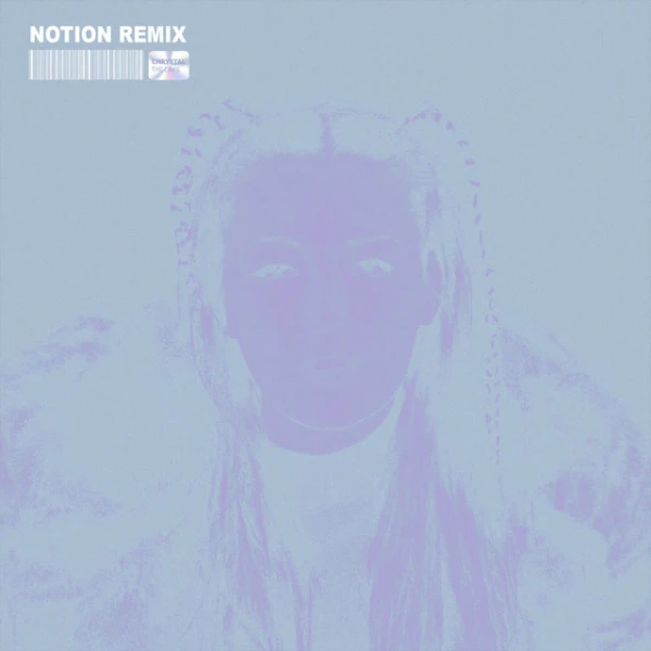 The Days (NOTION Remix)