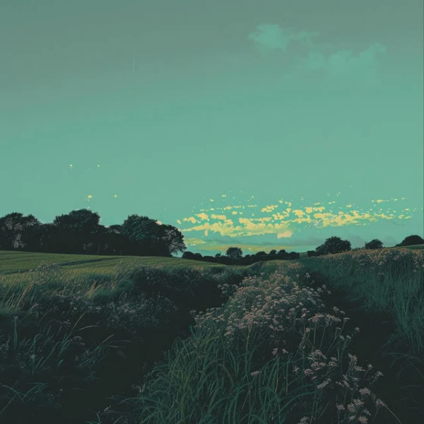 sketches in an empty field