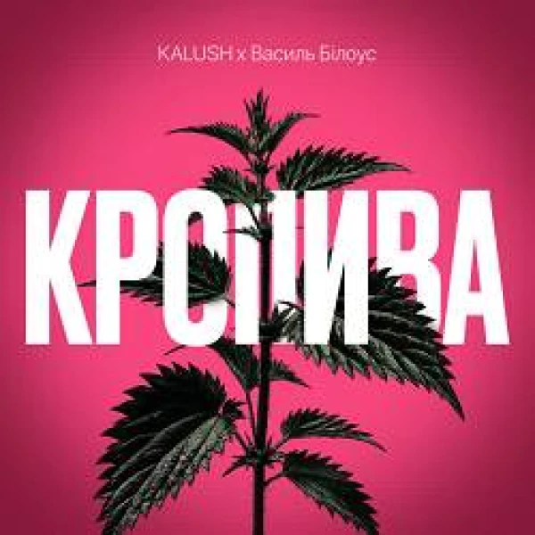 Кропива
