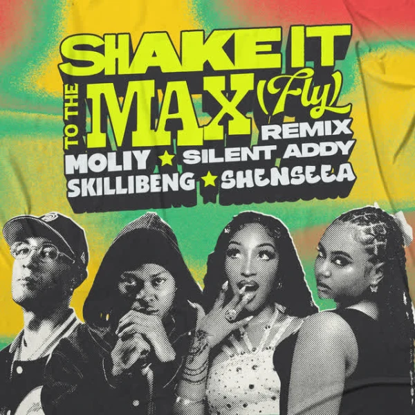 SHAKE IT TO THE MAX (FLY) (REMIX)