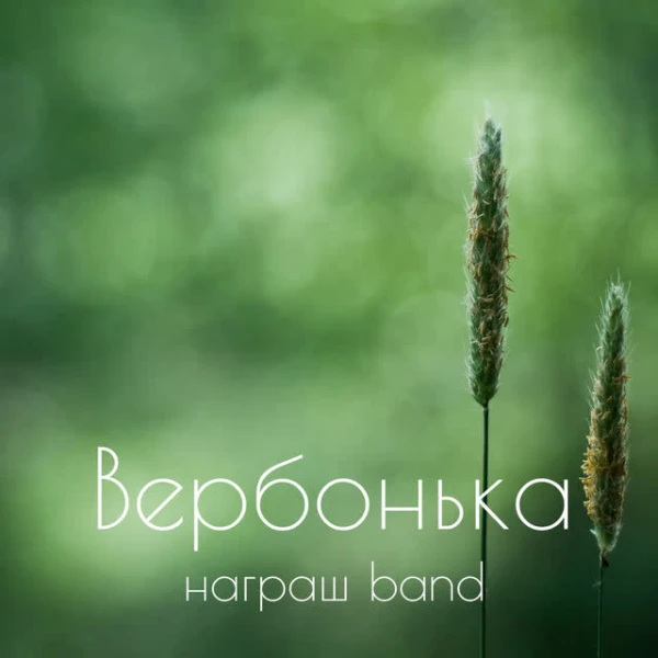Вербонька
