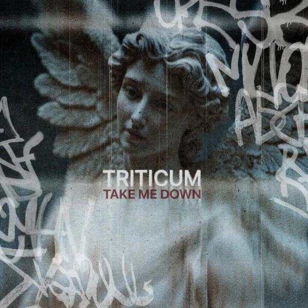 Take Me Down