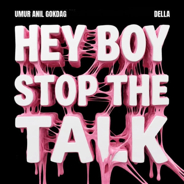 hey boy stop the talk (you missed your chance)