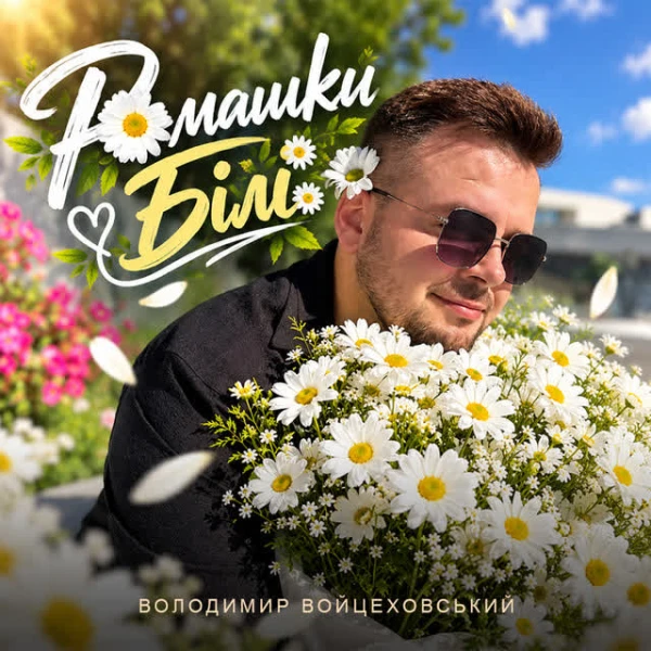 Ромашки білі