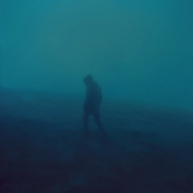 .diedlonely
